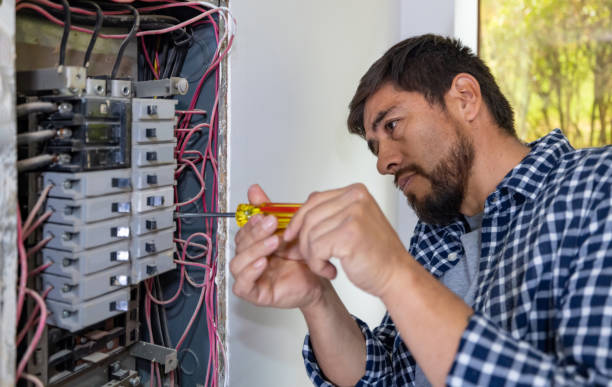 Best Electrical System Inspection  in Ridgeland, MS